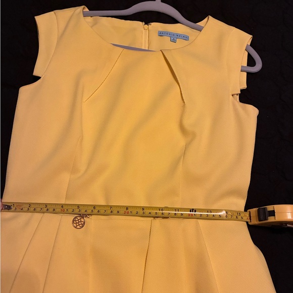 Antonio Melani - Picture 5 of 5